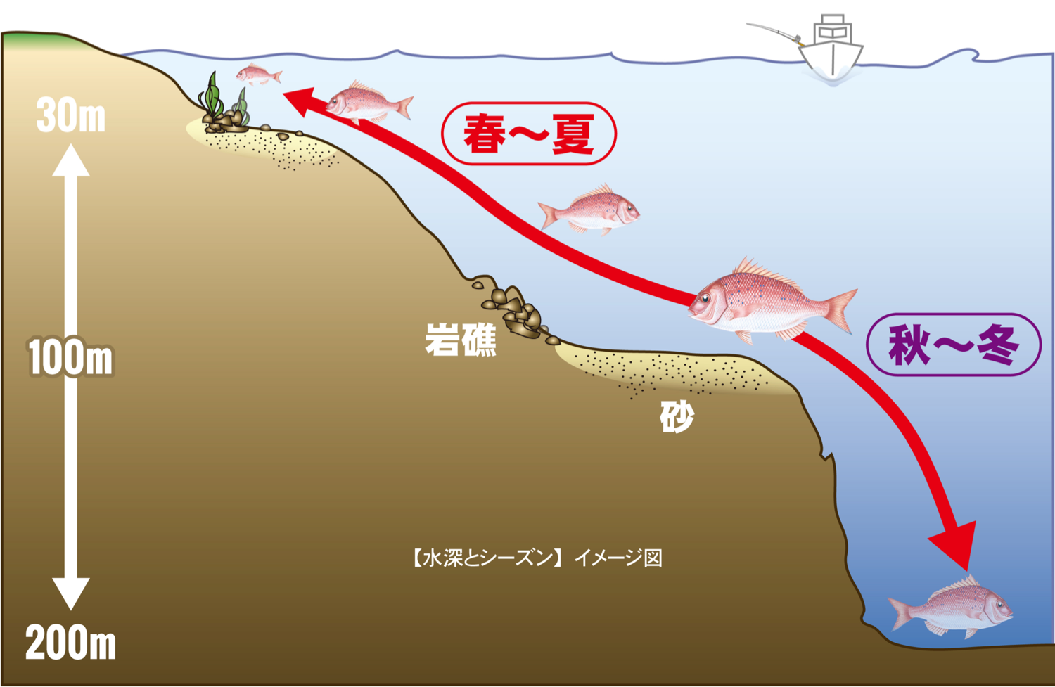 真鯛の生態 タイラバでは主流の遊動式ルアー Free Slide フリースライド 株式会社ハヤブサ