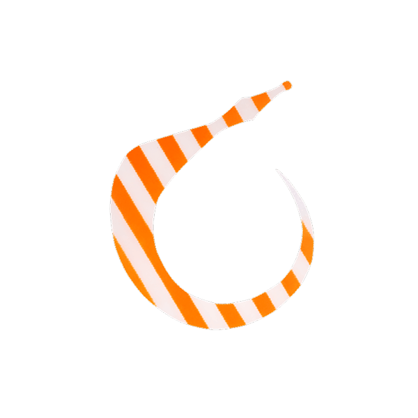 8.グローブライトオレンジゼブラ