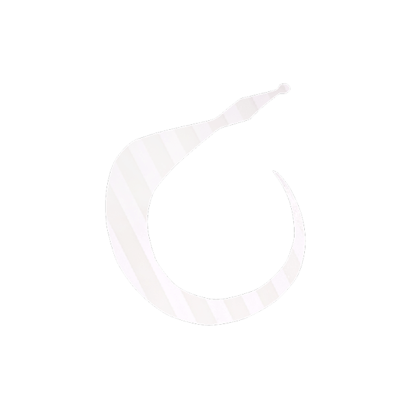 10.グローナイトゼブラ
