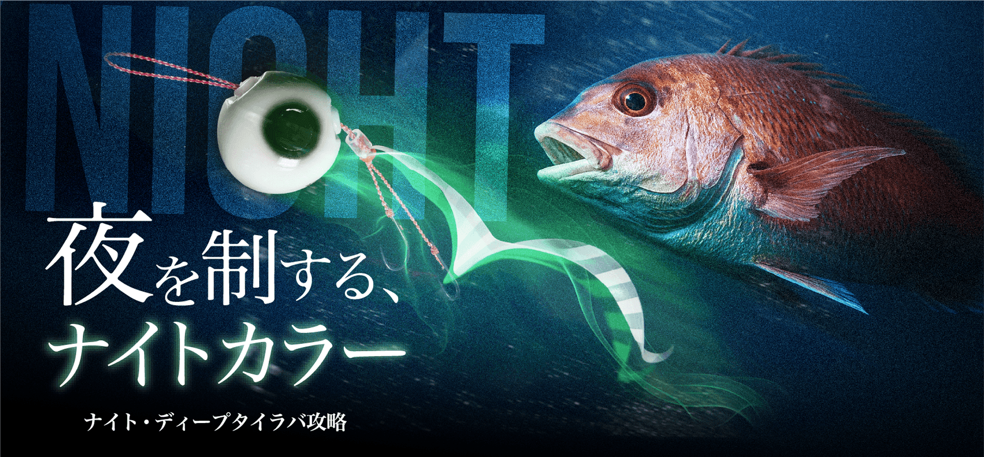 ナイトカラー